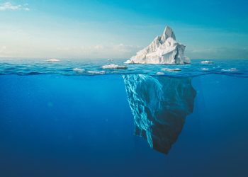 GREEN CHINA | Globalizing Carbon Price Bloom where you are planted